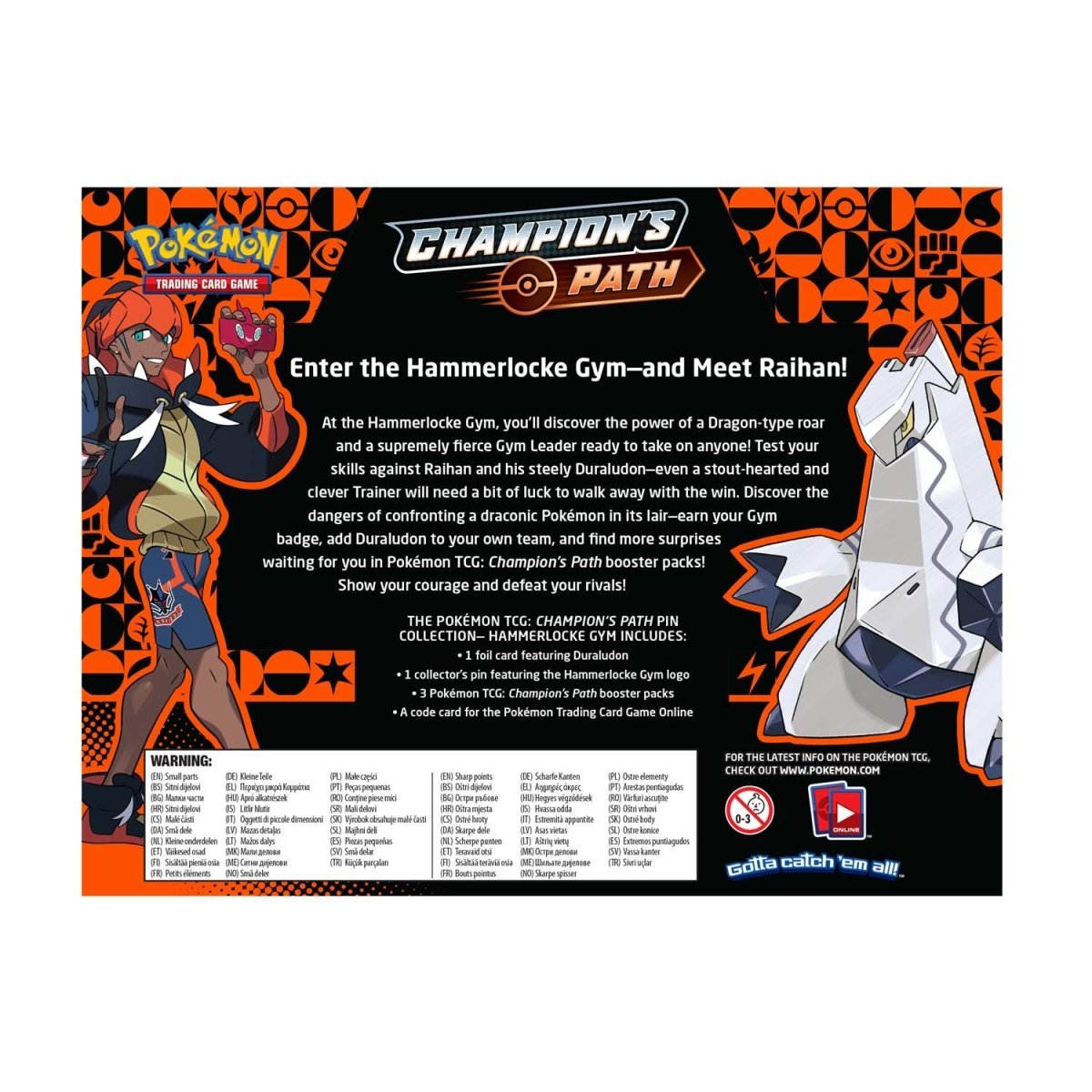 Champion's Path Pin Collection (Hammerlocke Gym)