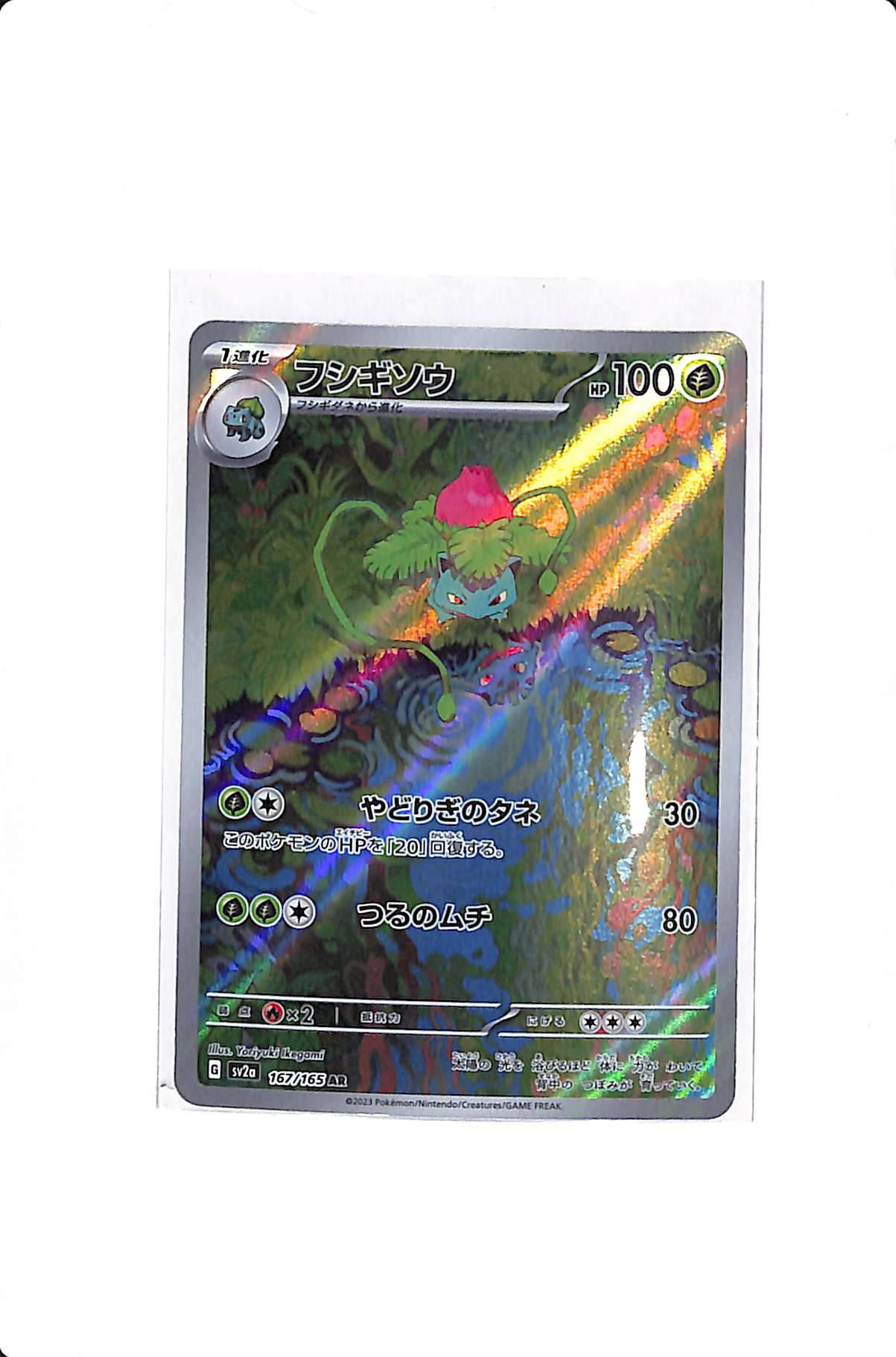 Ivysaur (JP) Pokemon 151 Art Rare 167/165