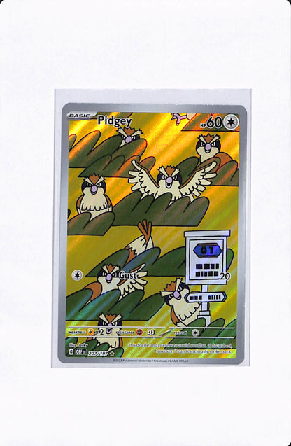 PIDGEY 207/197