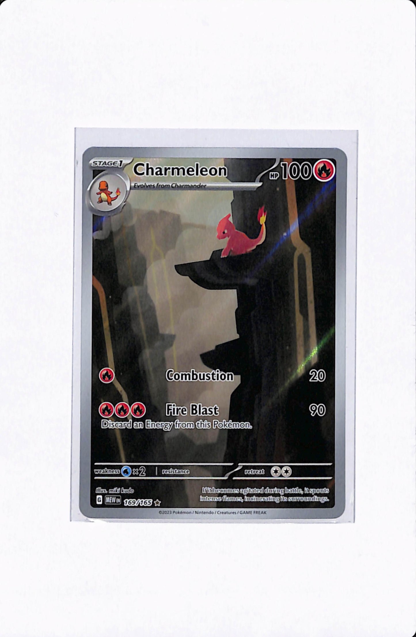 CHARMELEON 169/165