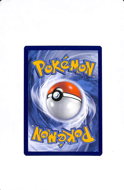 Charizard V Sword & Shield Promo SWSH260