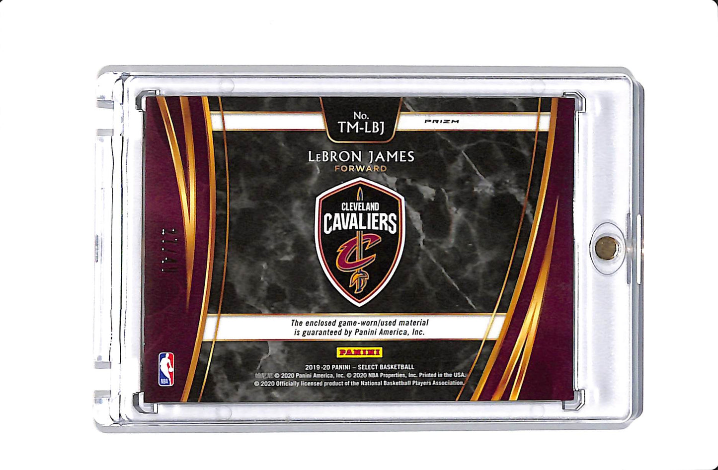 2019-20 PANINI SELECT LEBRON JAMES THROWBACK PATCH /49 #TM-LBJ