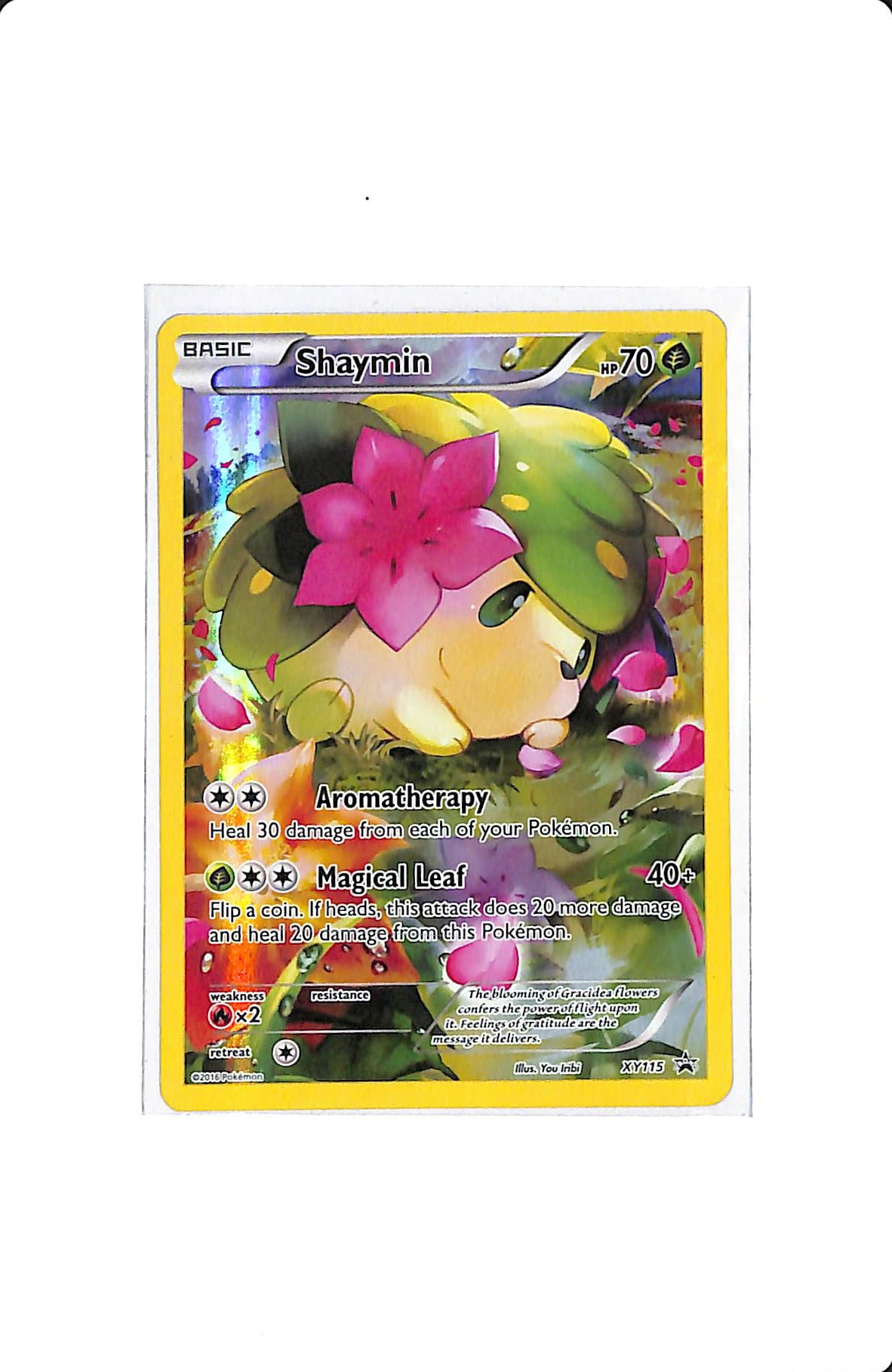 SHAYMIN XY115 PROMO