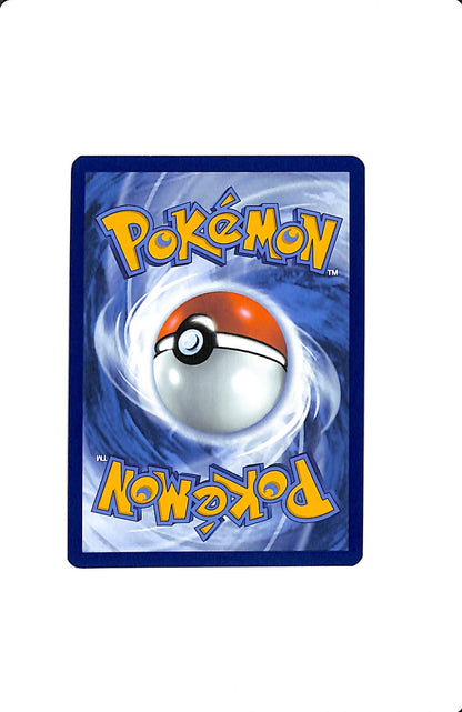 TEAM ROCKET'S HOUNDOOM 191/182