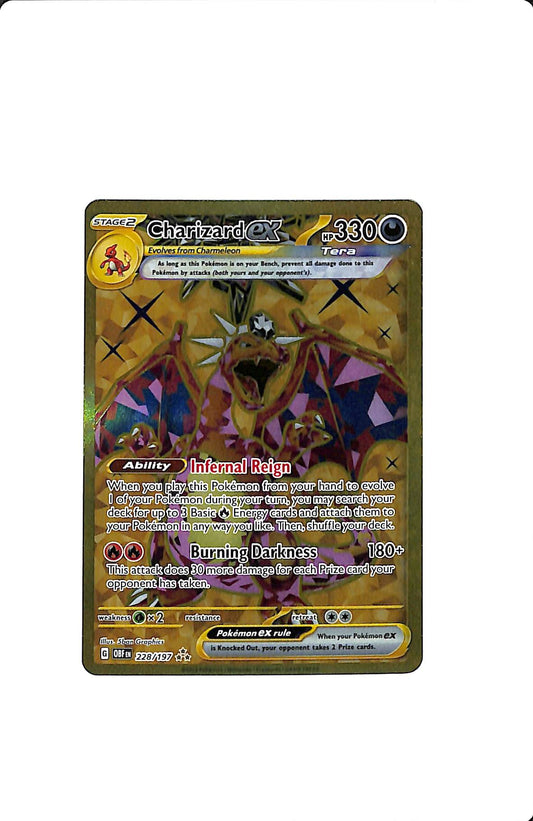 CHARIZARD EX 228/197